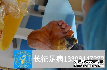 1525683014812786.jpg DSC_3042_副本.jpg